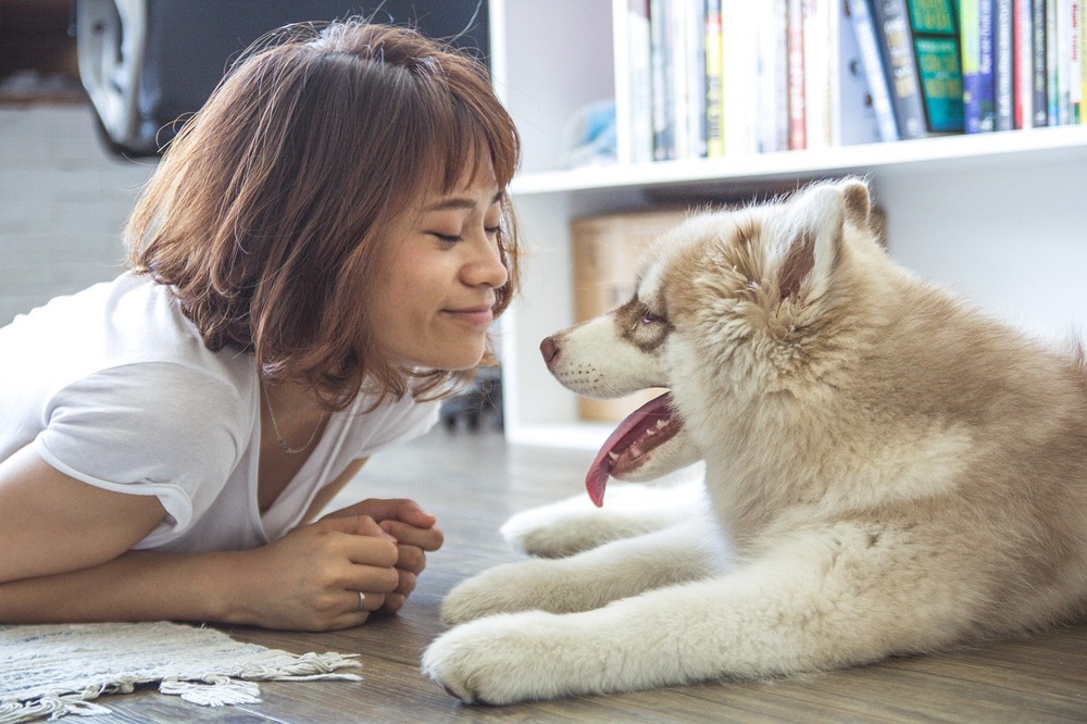 共に暮らした動物や家族同様の亡くなったペットの霊視・鑑定 - その他